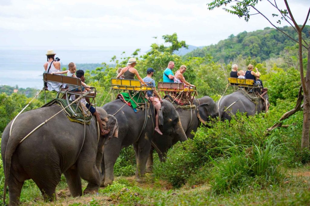 Phuket Adventure Programs – Zipline 18 Platforms + Elephant Riding Package image 2