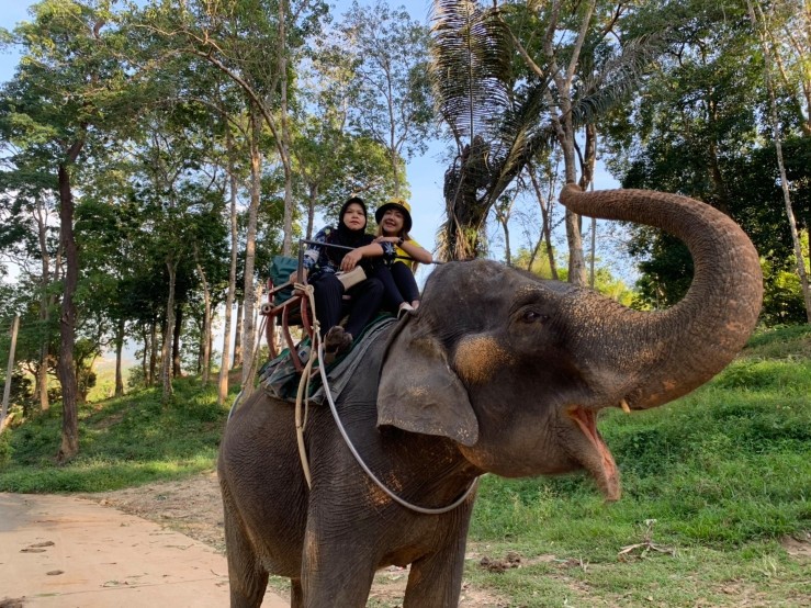 Phuket Adventure Programs – Zipline 18 Platforms + Elephant Riding Package
