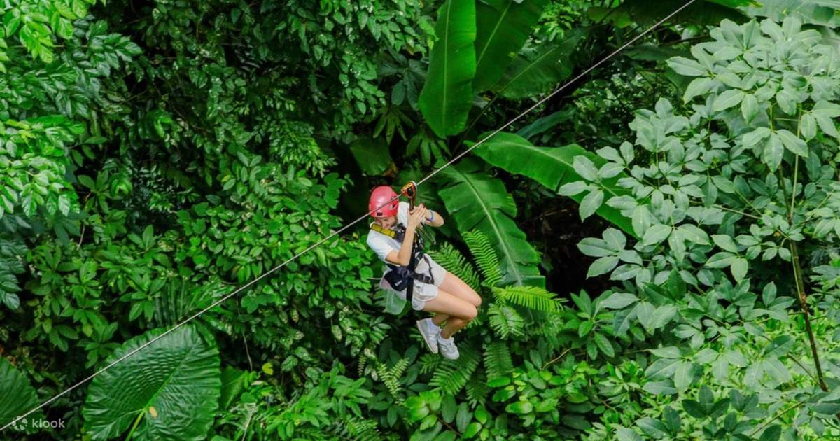 Phuket Adventure Programs – Zipline 33 Platforms + UTV Adventure Package image 3