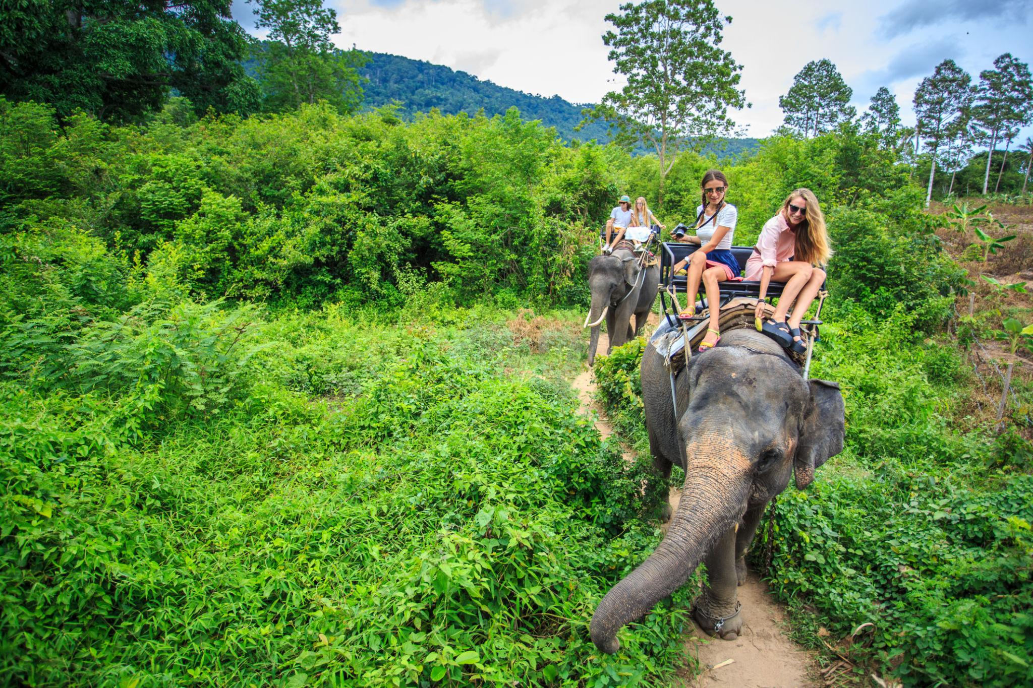 Rafting + Elephant Trekking + ATV + Zipline Adventure (Best Selling) image 4