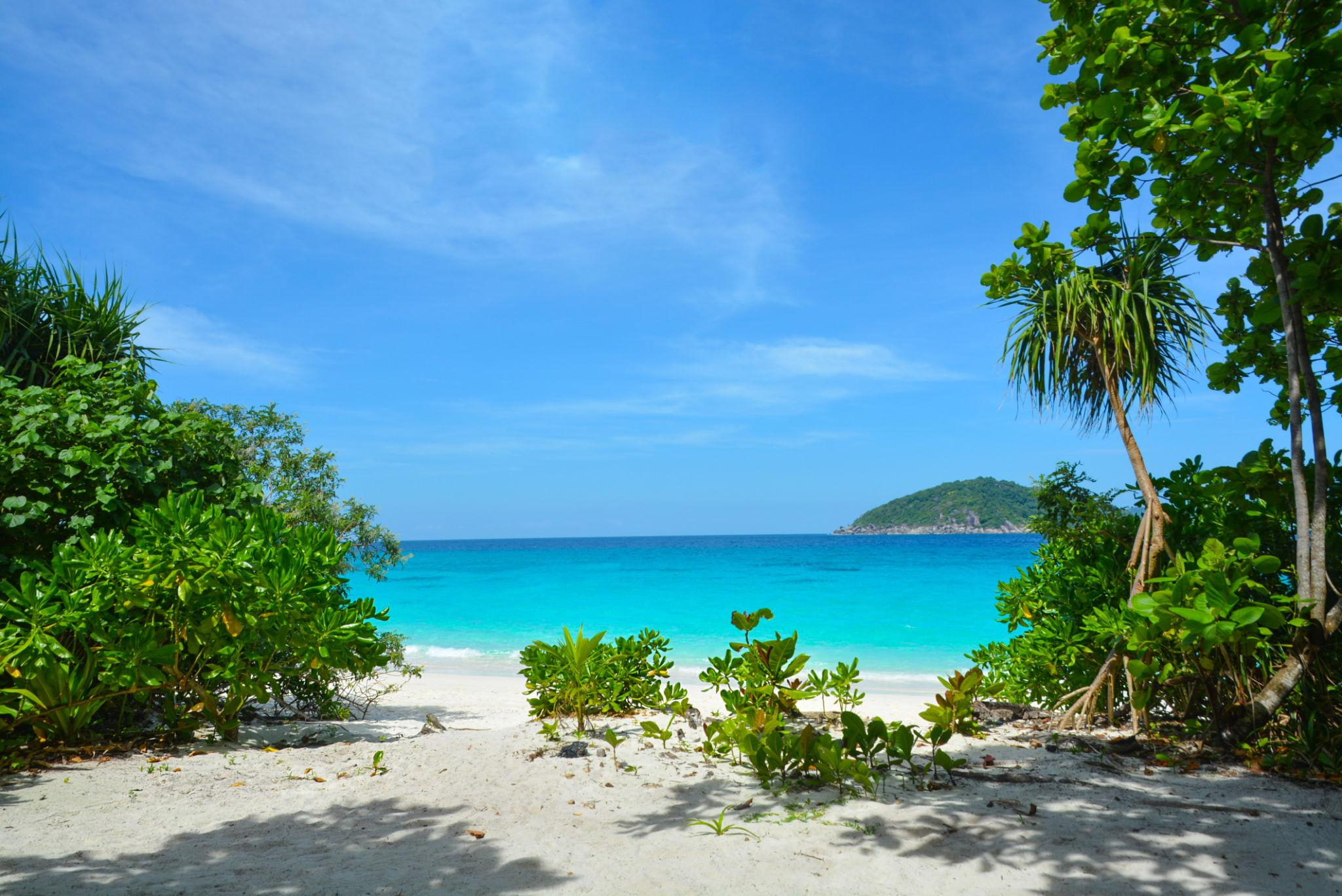 Similan Islands Speedboat Day Trip from Phuket image 4