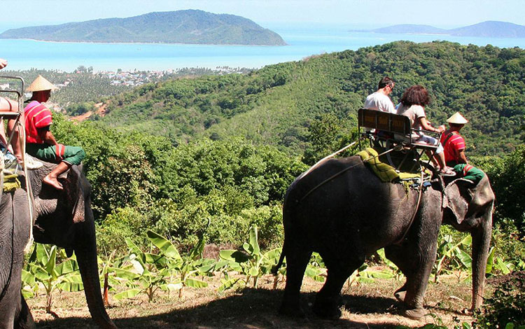 Phuket Adventure Programs – Zipline 33 Platforms + Elephant Riding Package image 3