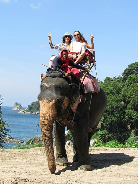 Phuket Adventure Programs – Zipline 18 Platforms + UTV + Elephant Riding Package image 2