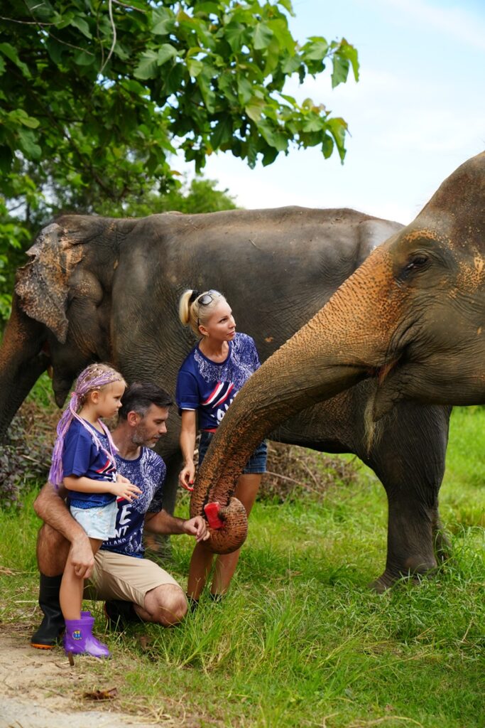 Phuket Siray Elephant Care & Feeding Experience image 1