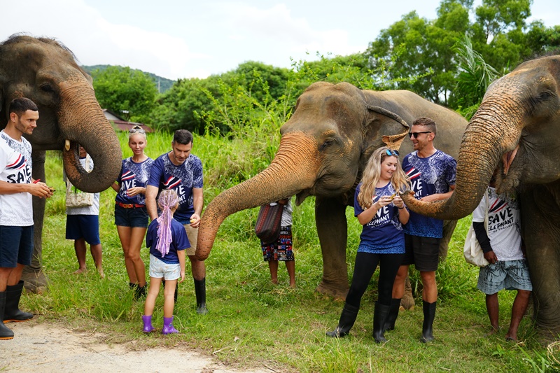 Phuket Siray Elephant Rain Shower + Feeding Experience image 3