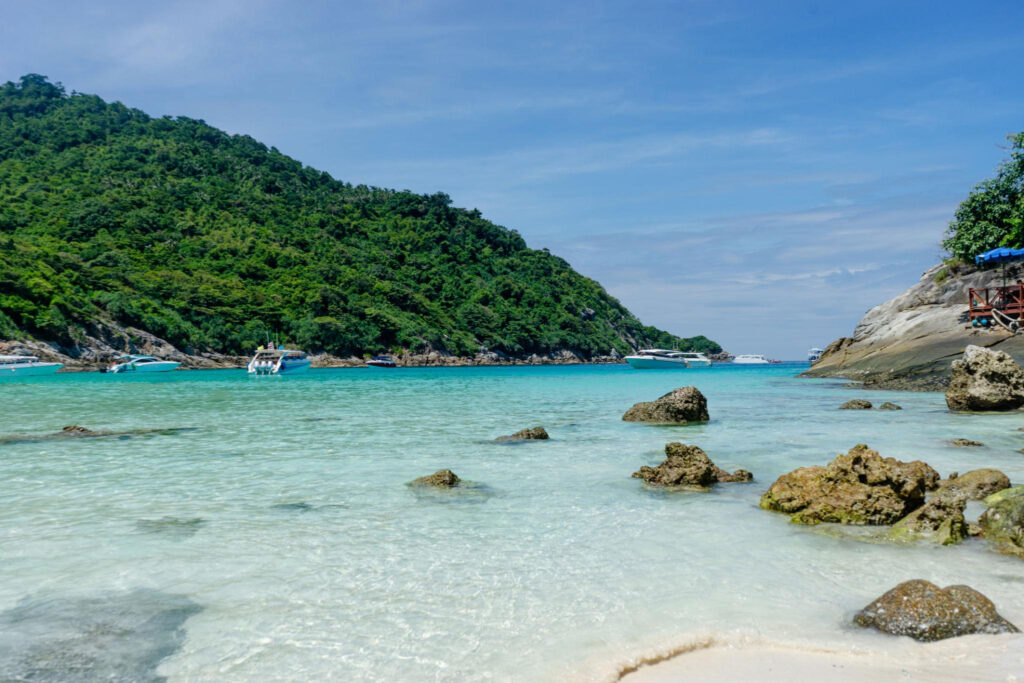 Coral & Racha Island by speedboat image 1