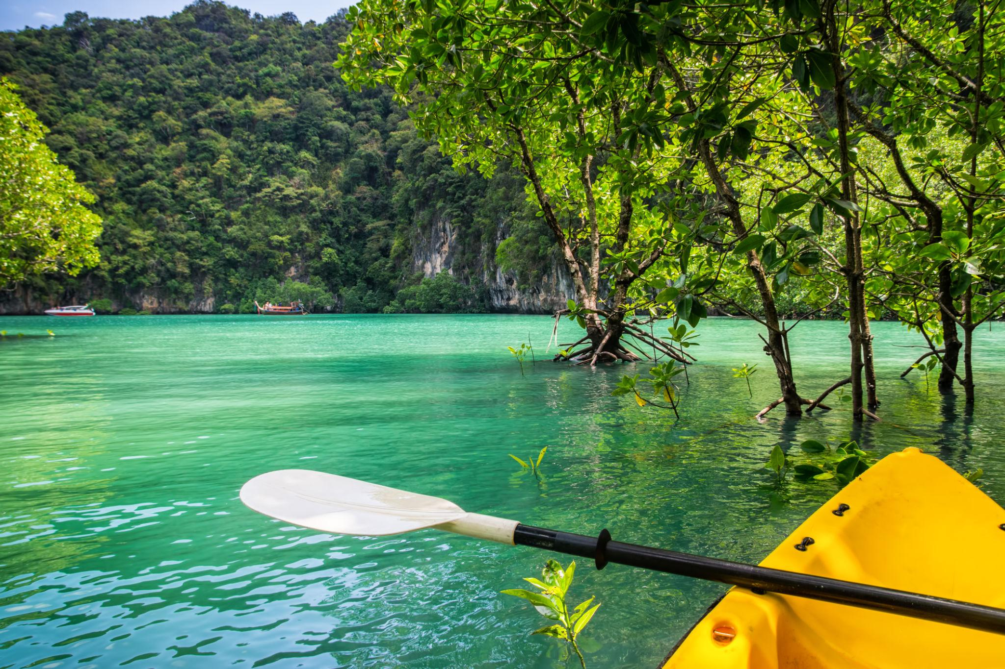 James Bond Island & Phang Nga Bay Big Boat Tour from Phuket image 4