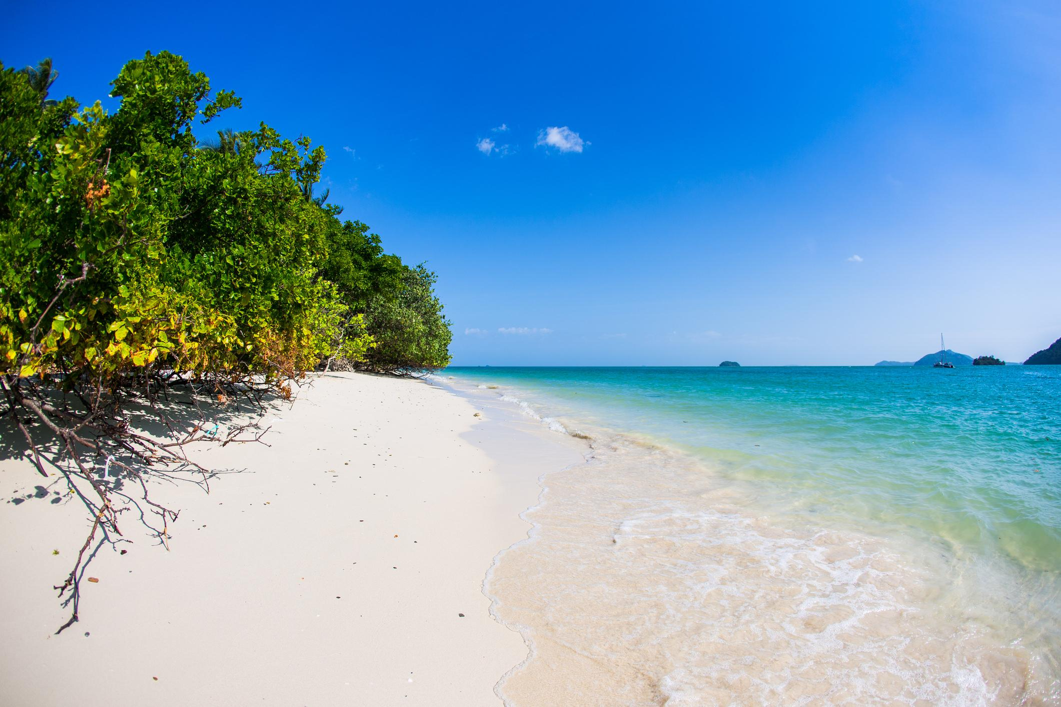 Coral & Racha Island by speedboat image 3
