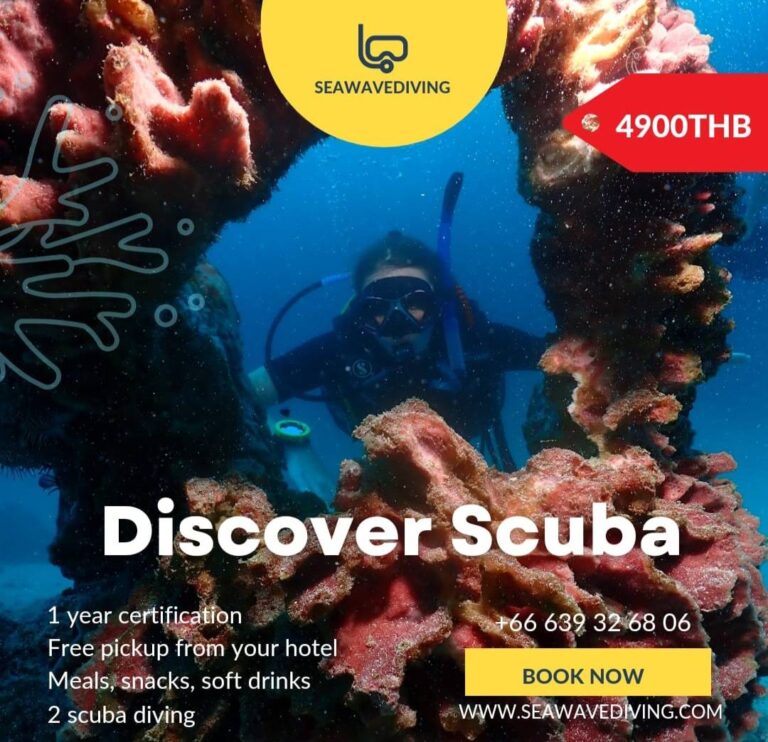 Discover Scuba Diving Experience