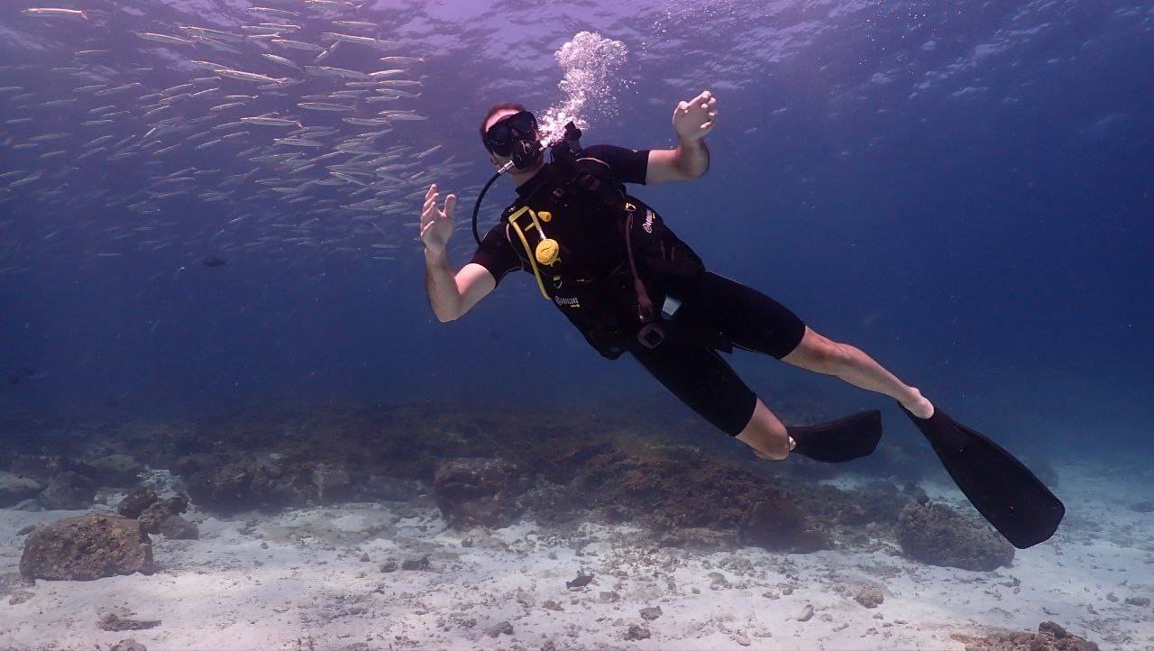 Day Trip Diving – All Inclusive image 4