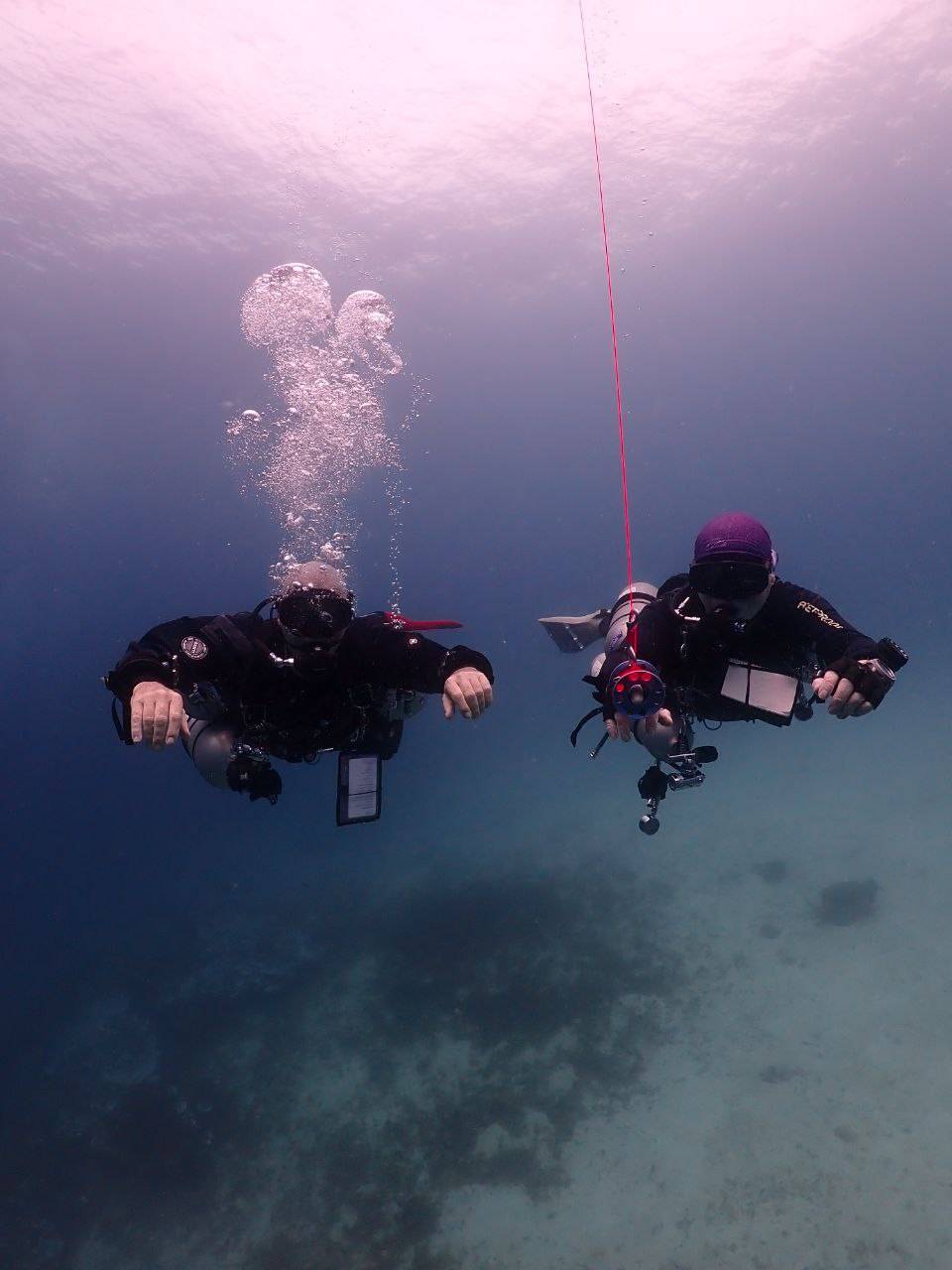 Day Trip Diving – All Inclusive image 3