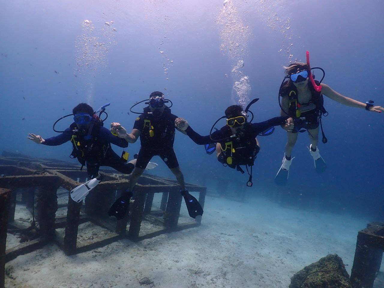 Discover Scuba Diving Experience image 4