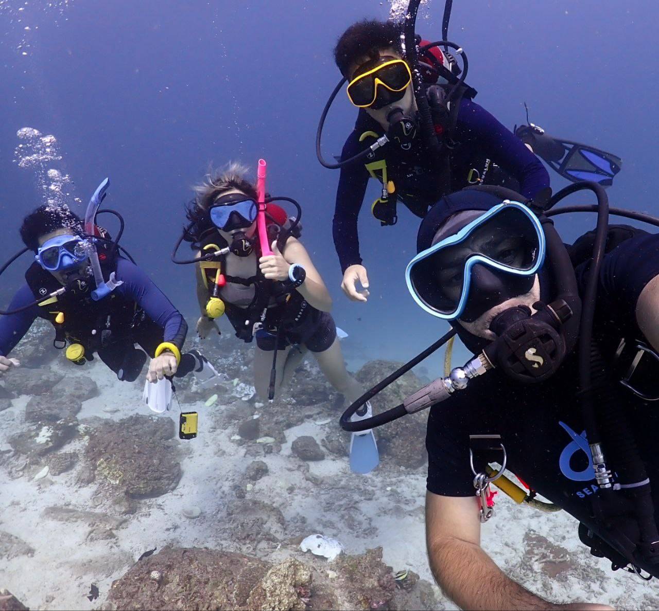 Discover Scuba Diving Experience image 2